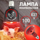 Инфракрасная лампа для обогрева животных и освещения Эра ИКЗК 230-100 R95 E27 Б0064638