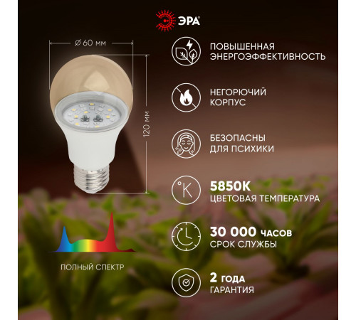 Фитолампа для растений Эра FITO-11W-Ra90-E27 Б0050603 Фитолампа для растений Эра FITO-11W-Ra90-E27 Б0050603
