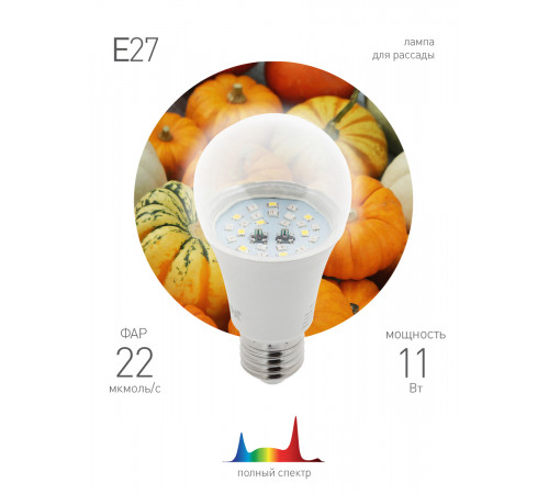 Фитолампа для растений Эра FITO-11W-Ra90-E27 Б0050603 Фитолампа для растений Эра FITO-11W-Ra90-E27 Б0050603