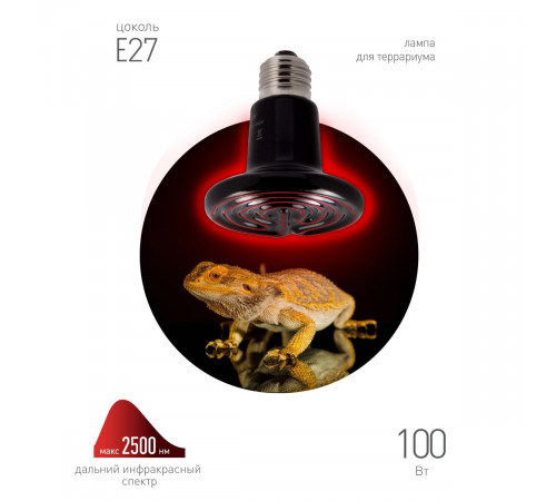 Инфракрасная лампа для брудера, рептилий Эра CeramiHeat FITO-100W-НQ Б0052715 Инфракрасная лампа для брудера, рептилий Эра CeramiHeat FITO-100W-НQ Б0052715