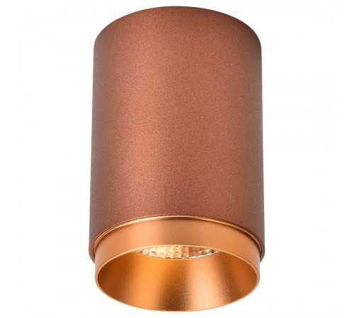 Точечный накладной светильник Wertmark Stecken WE801.01.607+WE803.RG.400