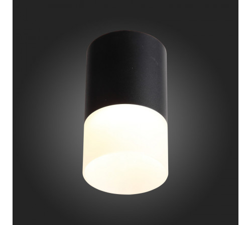 Накладной светильник ST Luce ST100.402.05