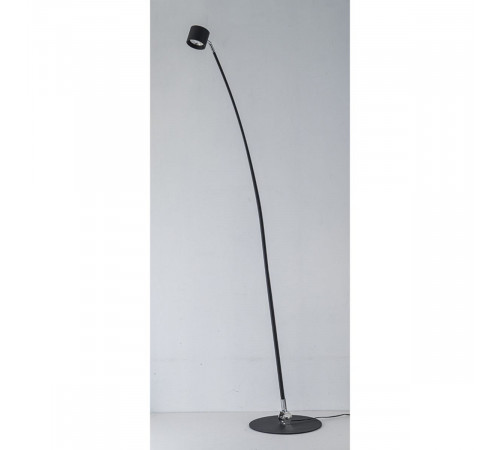 Торшер iLedex Tango 3082F-1 BK
