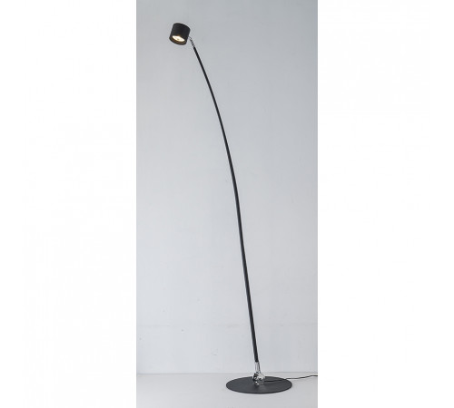 Торшер iLedex Tango 3082F-1 BK
