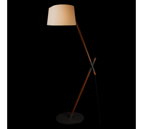 Торшер Loft IT Emma 10567F Dark wood