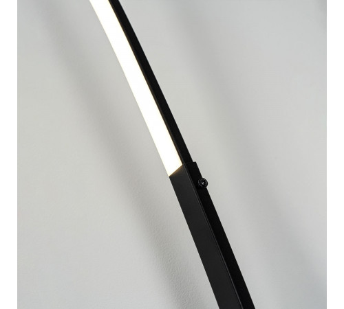 Торшер Modemodern MD.6801.01FL