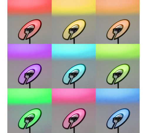 Торшер Citilux Loong CL810031