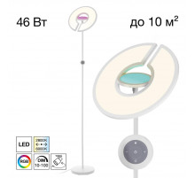 Торшер Citilux Loong CL810030