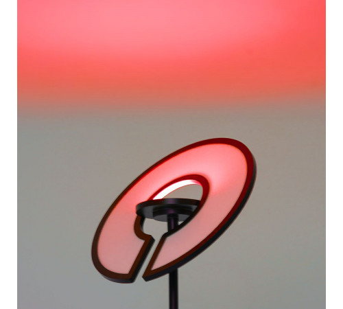 Торшер Citilux Loong CL810031