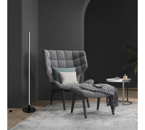 Торшер Freya Stripe FR6122FL-L22B