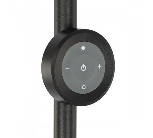 Торшер Citilux Loong CL810031