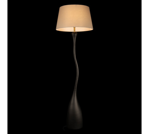 Торшер Loft IT Ariadne 10571F Black