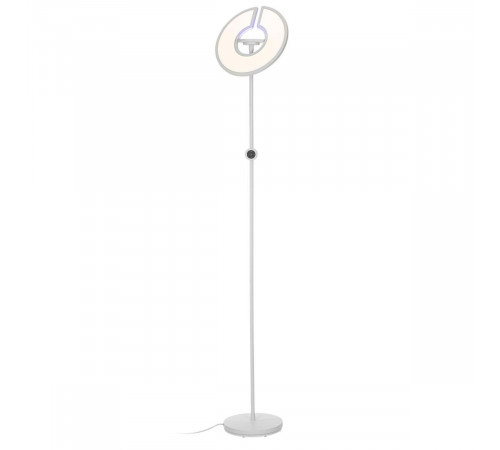 Торшер Citilux Loong CL810030