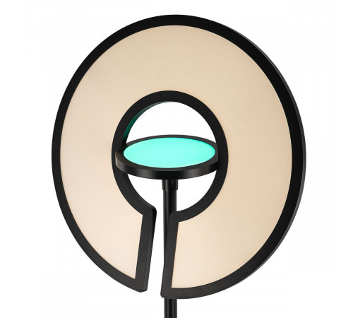 Торшер Citilux Loong CL810031