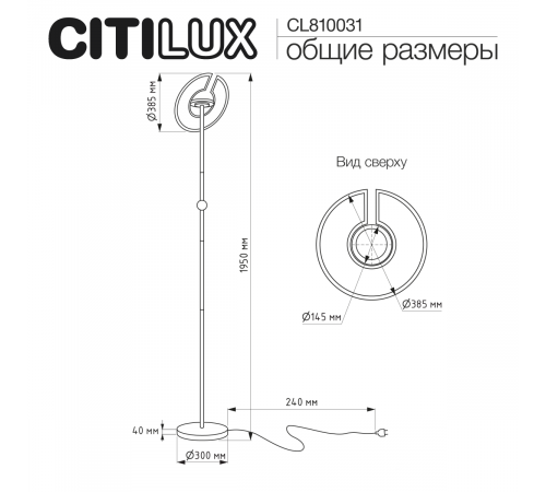 Торшер Citilux Loong CL810031