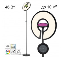 Торшер Citilux Loong CL810031