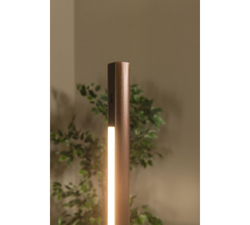 Торшер Lucide Equinox 29700/26/96