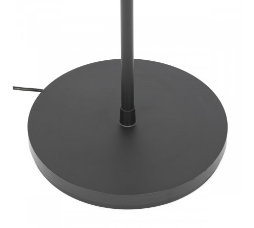 Торшер Citilux Loong CL810031