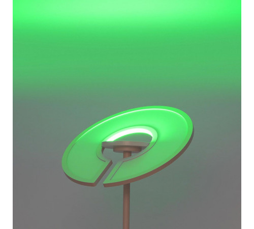 Торшер Citilux Loong CL810030