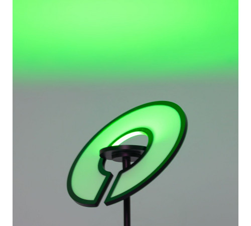 Торшер Citilux Loong CL810031