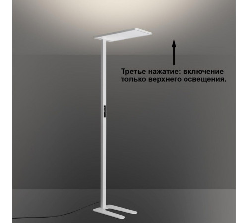 Торшер Novotech Ledo Studi 359545