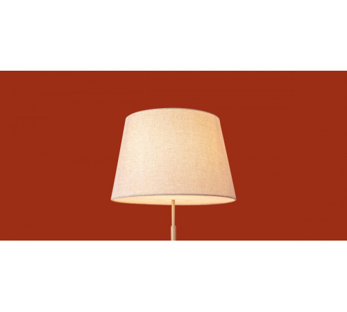 Торшер Freya Butler FR2057FL-01BG