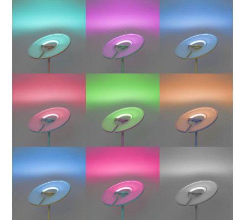 Торшер Citilux Loong CL810030