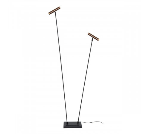 Торшер Lucide Duarte 03751/02/96