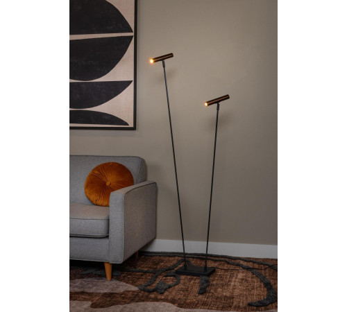 Торшер Lucide Duarte 03751/02/96