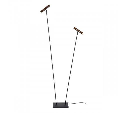 Торшер Lucide Duarte 03751/02/96