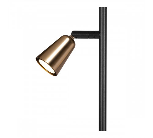 Торшер Lucide Tiana 65701/02/05