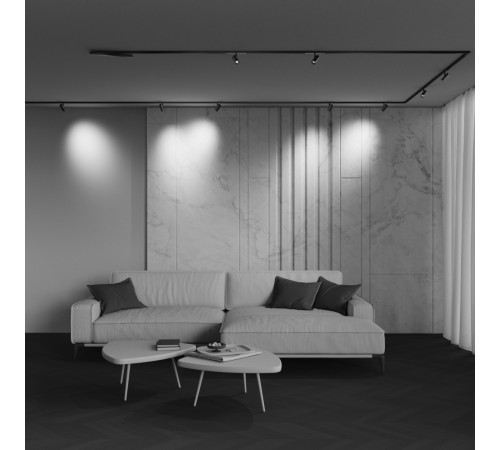 Трековый магнитный светильник Maytoni Technical Focus Led Exility X TR243-4-5WTW-DD2-B