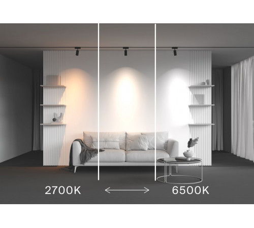 Трековый магнитный светильник Maytoni Technical Focus Led Radity TR103-4-12WTW-M-B