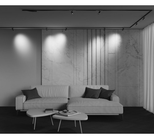 Трековый магнитный светильник Maytoni Technical Focus Led Exility X TR243-4-5WTW-DSZ-B