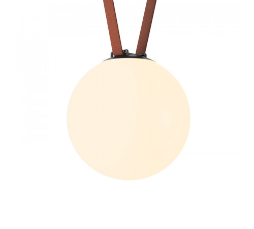Трековый однофазный светильник Denkirs Belty Orb DK5555-BK Трековый однофазный светильник Denkirs Belty Orb DK5555-BK