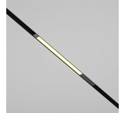 Трековый магнитный светильник Maytoni Technical Basis TR231-2-10W3K-B