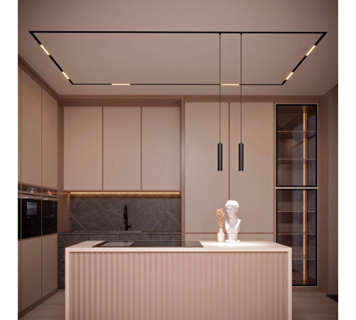 Трековый магнитный светильник Arlight MAG-ORIENT-FLAT-L465-16W Day4000-MIX (BK, 100 deg, 48V, DALI) 036741(1) Трековый магнитный светильник Arlight MAG-ORIENT-FLAT-L465-16W Day4000-MIX (BK, 100 deg, 48V, DALI) 036741(1)