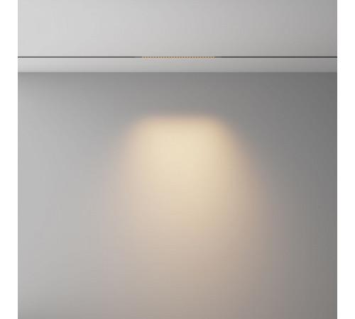 Трековый магнитный светильник Maytoni Technical Points Exility X TR241-2-6W3K-B