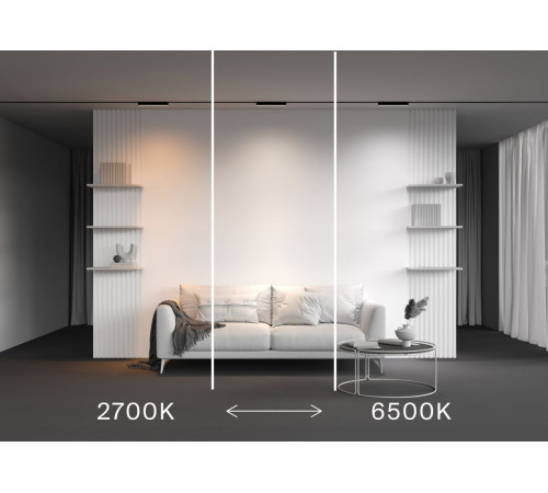 Трековый магнитный светильник Maytoni Technical Basis Radity TR080-4-10WTW-B