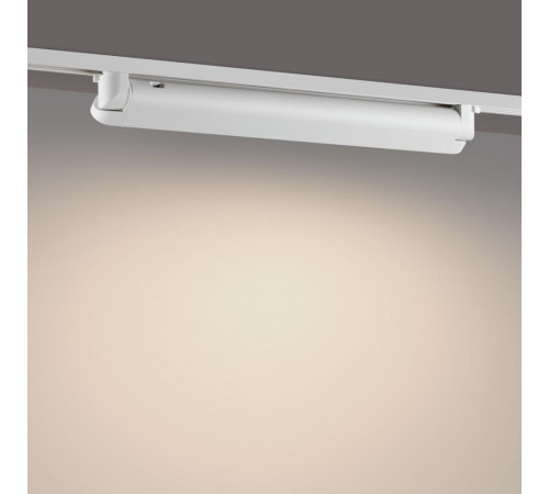 Трековый однофазный двухжильный светильник с переключателем цветовой температуры Novotech Port Iter 359794