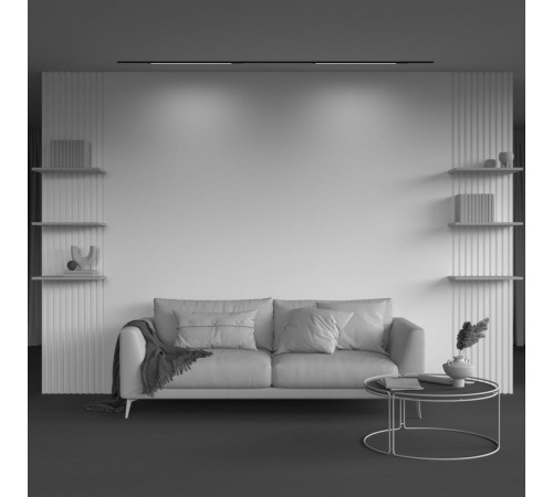 Трековый магнитный светильник Maytoni Technical Basis TR231-2-15W3K-B