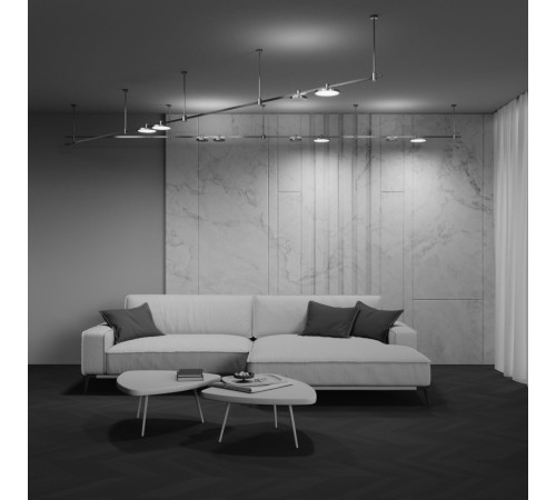 Трековый магнитный светильник Maytoni Technical Plato Flarity TR153-1-10W3K-PT Трековый магнитный светильник Maytoni Technical Plato Flarity TR153-1-10W3K-PT