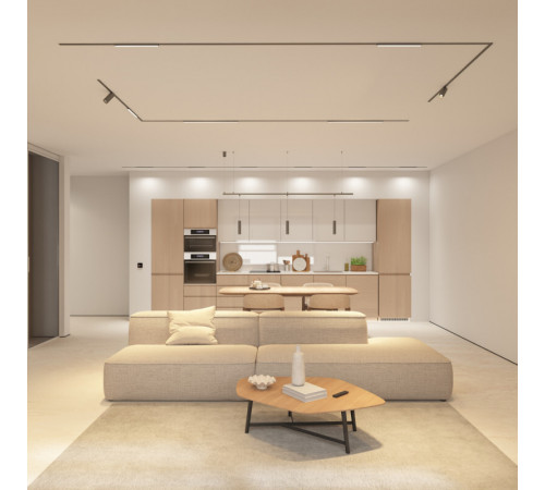 Трековый магнитный светильник Denkirs Shine Spot Zigbee DK5944-DN