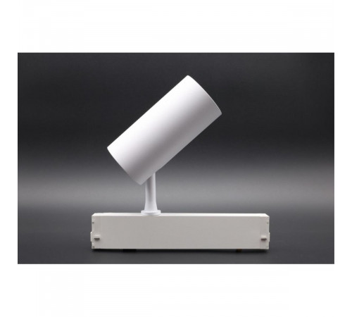 Трековый магнитный светильник Aployt Magnetic track 220 APL.0205.10.20