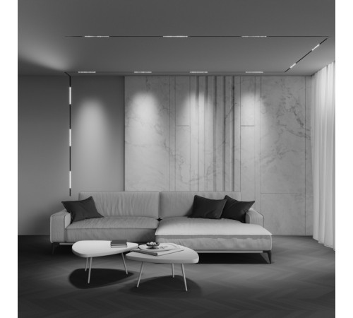 Трековый магнитный светильник Maytoni Technical Points Exility X TR241-2-6W4K-B