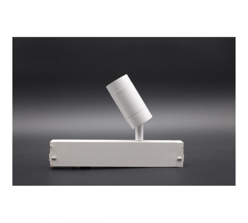 Трековый магнитный светильник Aployt Magnetic track 220 APL.0204.10.07