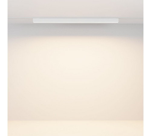 Трековый магнитный светильник Maytoni Technical Basis Radity TR080-4-20WTW-W