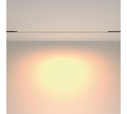 Трековый магнитный светильник Maytoni Technical Basis TR231-2-15W3K-B