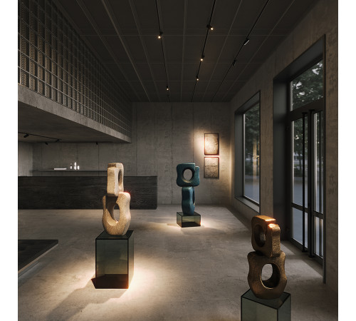 Трековый магнитный светильник Maytoni Technical Focus Zoom Exility X TR244-12W3K-B