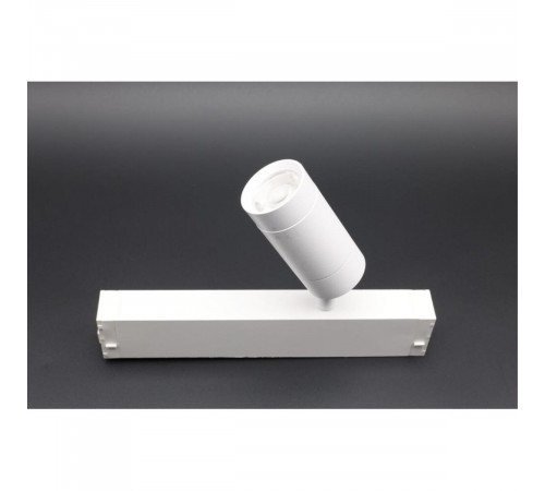 Трековый магнитный светильник Aployt Magnetic track 220 APL.0204.10.07